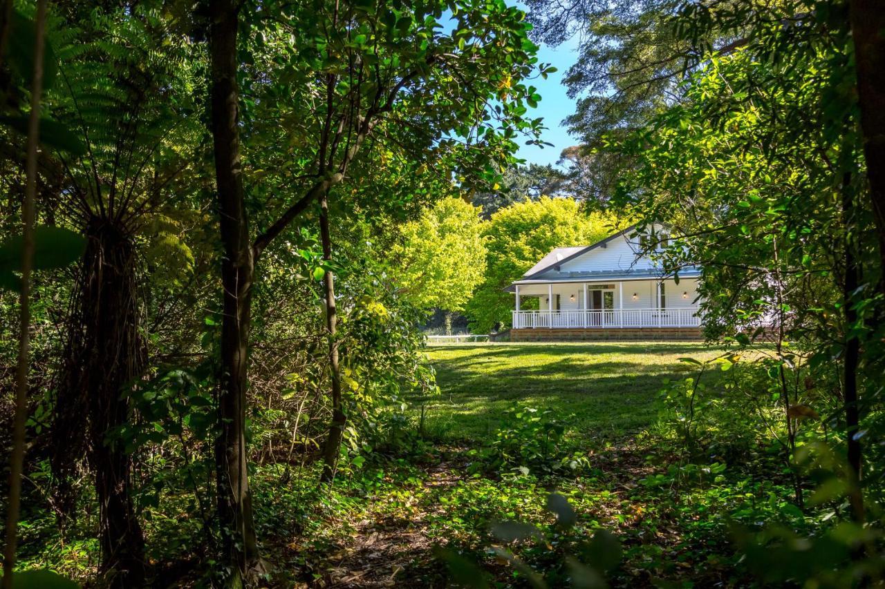 The Forest House Pirinoa Exterior photo